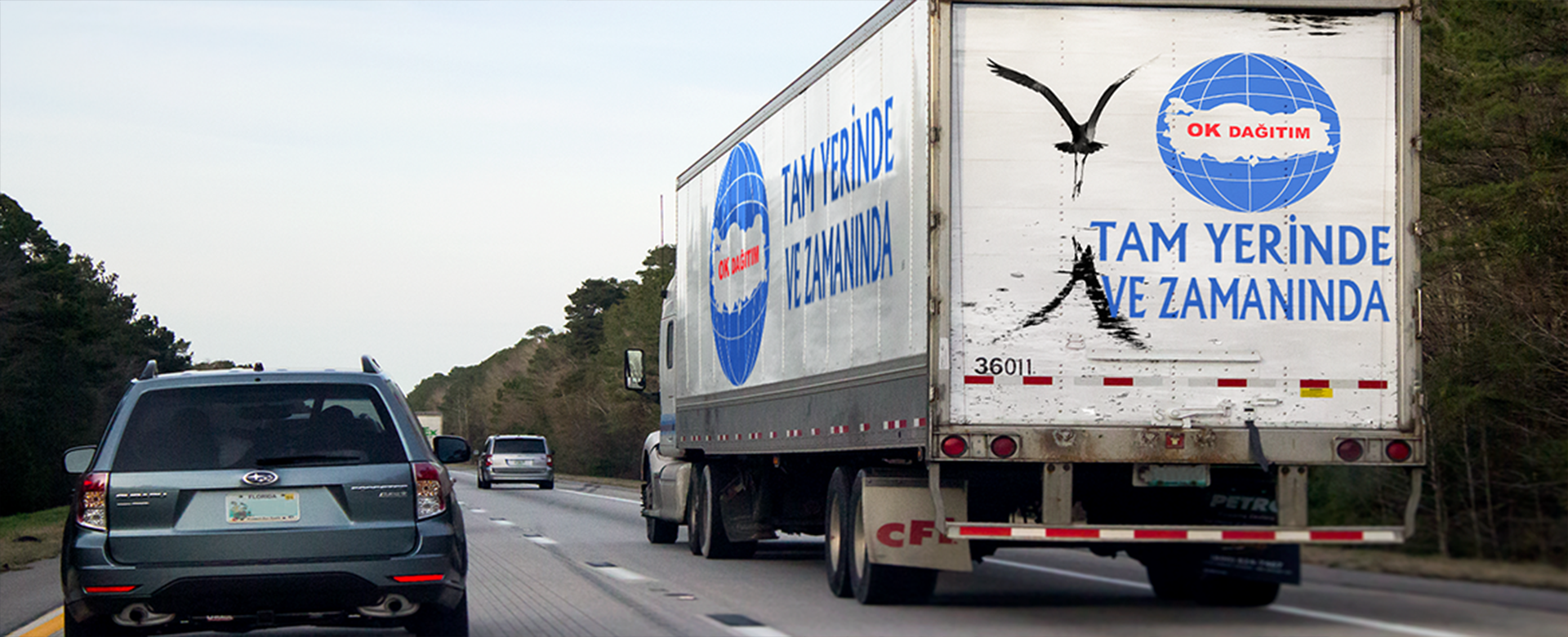 title_69ce8e98c80db7021482681775144600